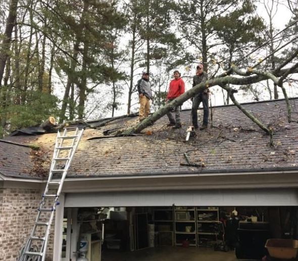 AAA Tree Experts, Serving Serving Atlanta, GA