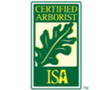 ISA Member